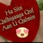 Janan Siad